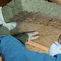 Mineral wool insulation in roof by Rockwool - LEED Platinum V4
