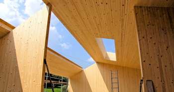 DLT Dowel Laminated Timber