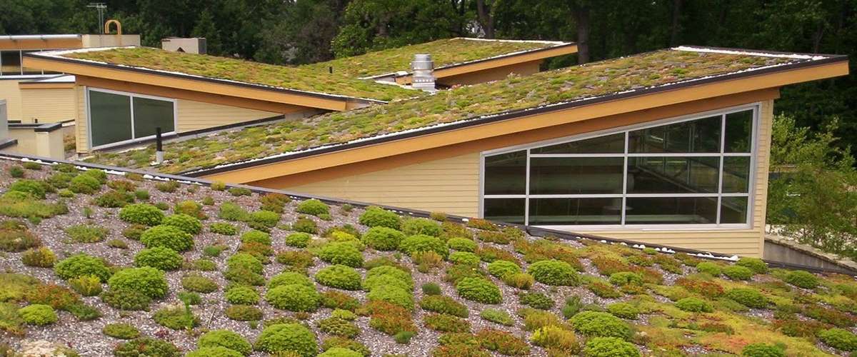 Commercial Living green roof on the Helen Schuler Nature centre