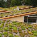 Commercial Living green roof on the Helen Schuler Nature centre