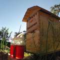 Flow Frames: A father and son revolutionize honey production