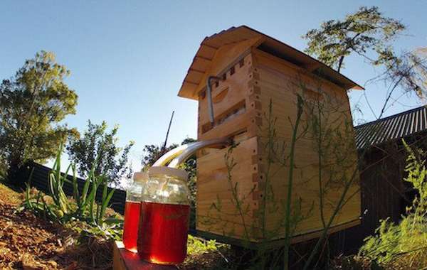 Flow Frames: A father and son revolutionize honey production