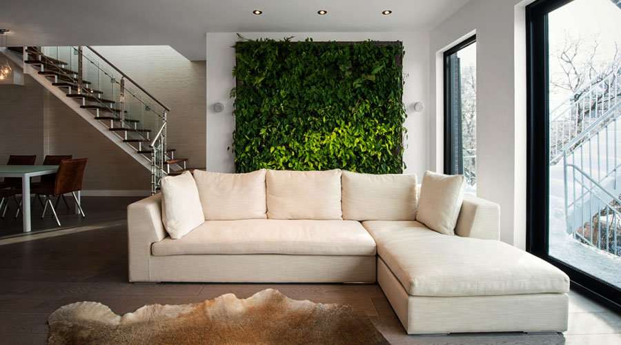 Living green wall