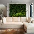 Living green wall