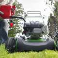 “The perfect lawn” comes with a very heavy environmental cost!