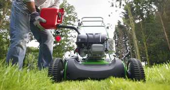 “The perfect lawn” comes with a very heavy environmental cost!