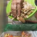 Disposing of household waste properly - recycling, garbage & toxic materials