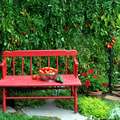 Urban farming
