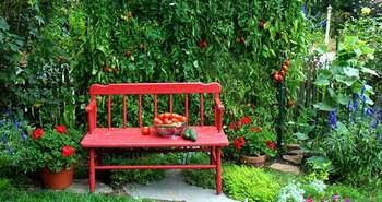 Urban farming