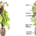 The Elegant Farm hydroponic bottle garden