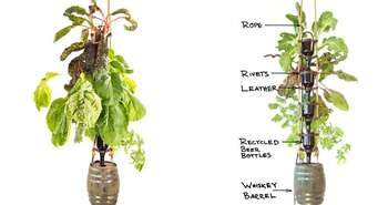 The Elegant Farm hydroponic bottle garden