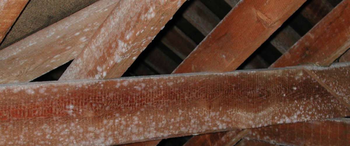 What is Interstitial Condensation? (And how to stop it!)