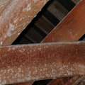 What is Interstitial Condensation? (And how to stop it!)