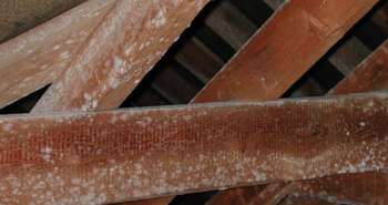 What is Interstitial Condensation? (And how to stop it!)