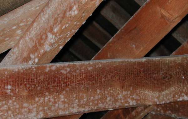 What is Interstitial Condensation? (And how to stop it!)