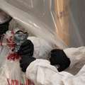 Safe removal of asbestos from homes needs to be done by abatement specialists