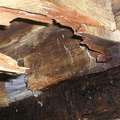 Dry Rot in Homes - The Identification, Treatment, Prevention & Repair of Dry Rot