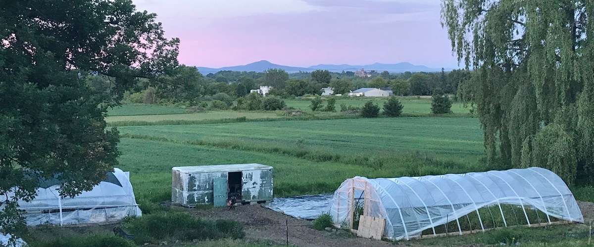 Greenhouse Construction for Cold Climates