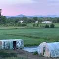 Greenhouse Construction for Cold Climates