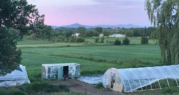 Greenhouse Construction for Cold Climates