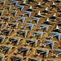 "The Boneyard" in Arizona, the world’s biggest aircraft graveyard