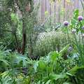Edible Perennials