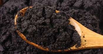 What to do with old coffee grounds