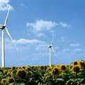 Wind farm
