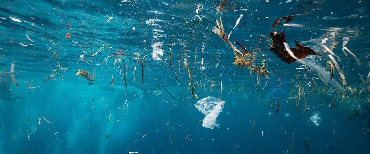 Why Recycling Plastics Needs Legislation to be Effective