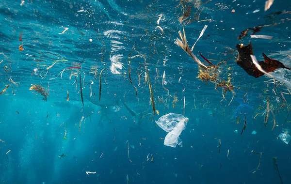 Why Recycling Plastics Needs Legislation to be Effective