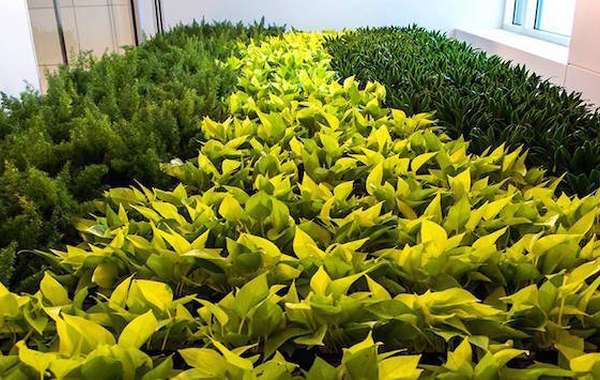 Dirrtt Environmental Solutions, Green Wall