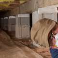 Crawl Spaces or Slab on Grade Foundations?