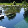 Natural swimming pool design DIY (NSP) for eco homes