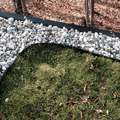 Living green roof installation on the Edelwiess house
