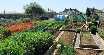 Permaculture workshop