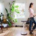 Healthy Home Offices - Natural Biophilic Design Ideas