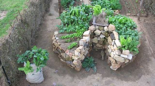 Keyhole Garden