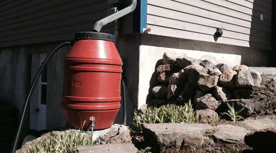 Rain barrels for storm water management and rainwater harvesting