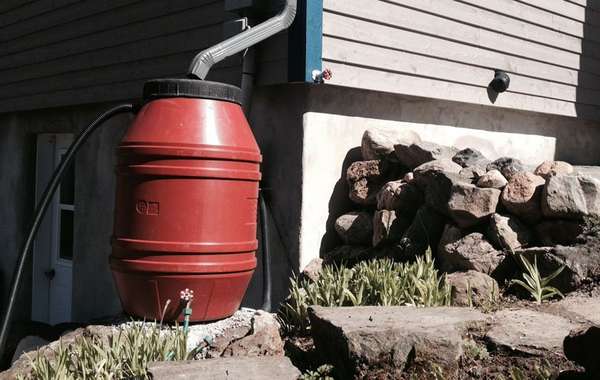 Rain barrels for storm water management and rainwater harvesting