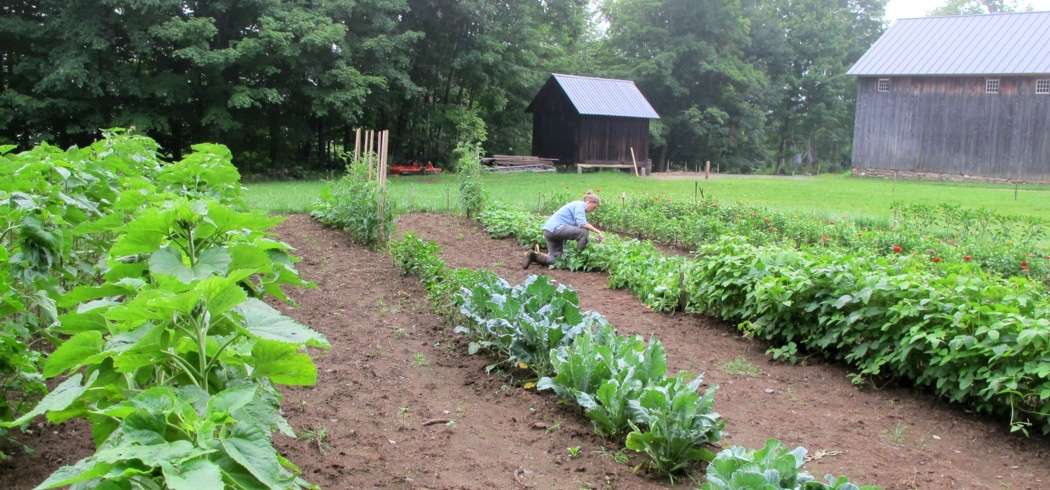 Alex and Jerelyn Wilson's Vermont farm