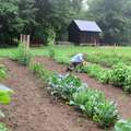 Alex and Jerelyn Wilson's Vermont farm