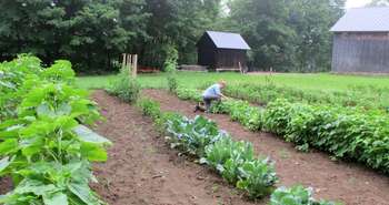 Alex and Jerelyn Wilson's Vermont farm