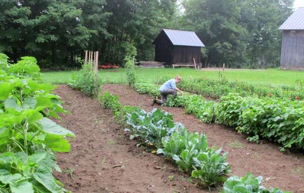 Alex and Jerelyn Wilson's Vermont farm