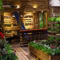 building with recycled shipping pallets