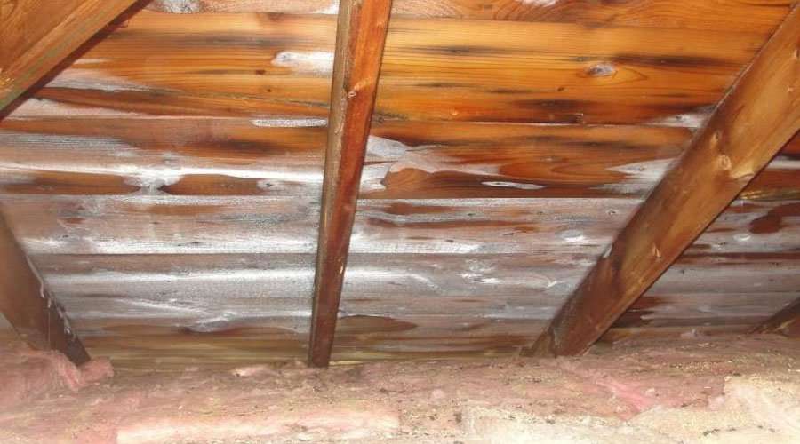 Frost in attics: what causes attic ice? How to fix it?