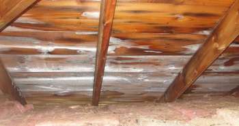 Frost in attics: what causes attic ice? How to fix it?