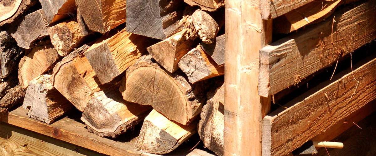 Choosing the right firewood for maximum heat