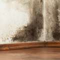 Poly vapour barriers in air conditioned houses can cause mold and rot