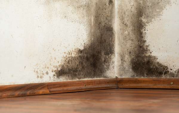Poly vapour barriers in air conditioned houses can cause mold and rot