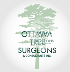 Ottawa Tree Surgeons & Consultants Inc.